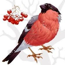 Схема вышивки «Снегирь»