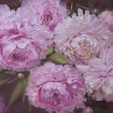 Схема вышивки «розовые пионы»