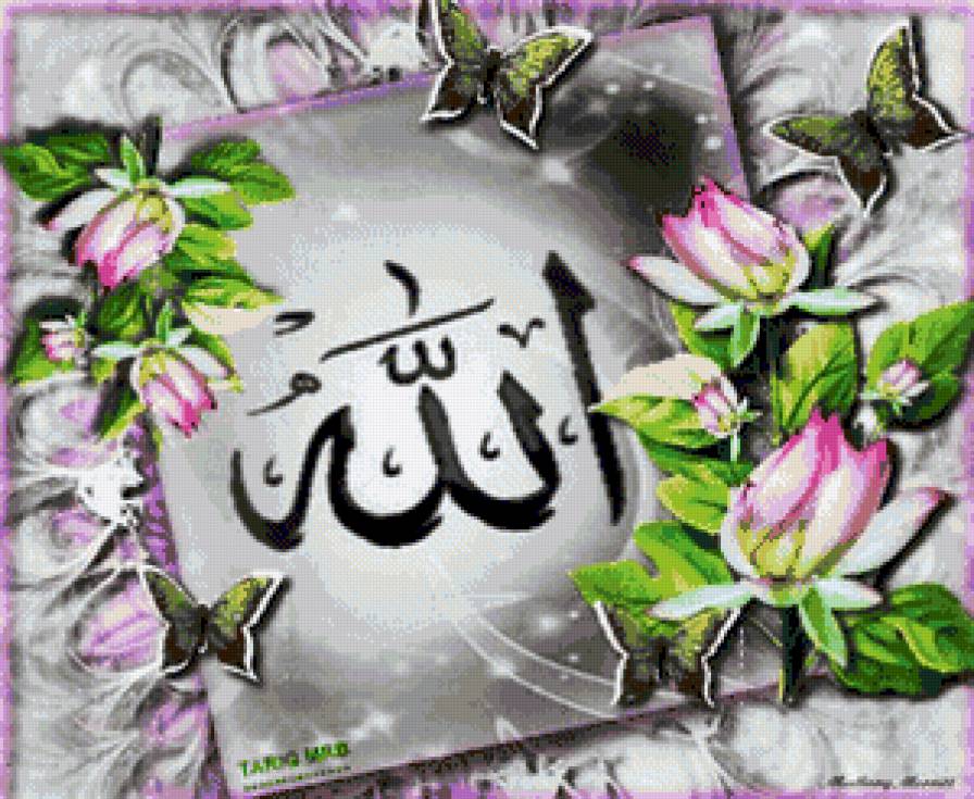 allah - предпросмотр