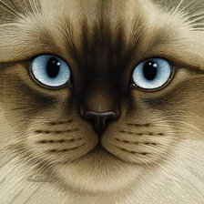 симпатичная мордашка