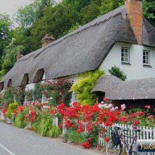 Схема вышивки «gran cot»