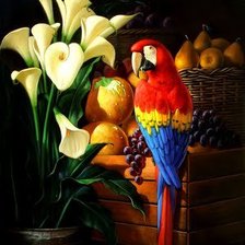 Схема вышивки «GuacamayasyfloresArmandoAhuatzi»