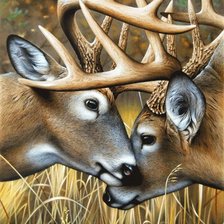 Схема вышивки «№822058»