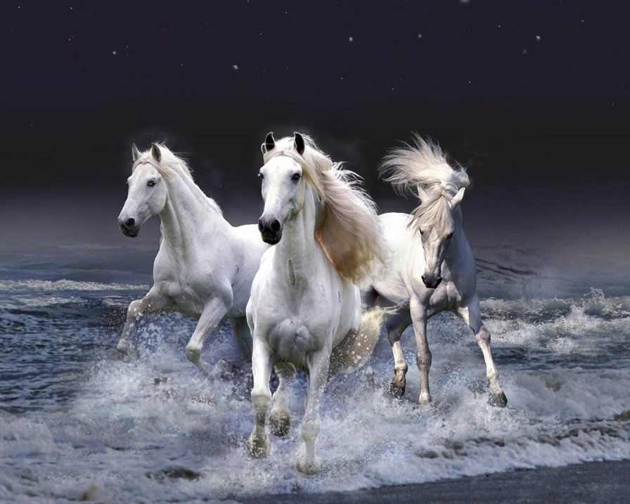 Тройка - природа, лошади, животные - оригинал