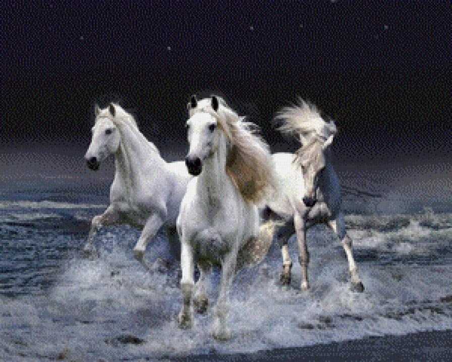 Тройка - природа, лошади, животные - предпросмотр