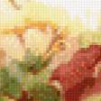 Предпросмотр схемы вышивки «jofaina de loza floral tandil» (№822073)