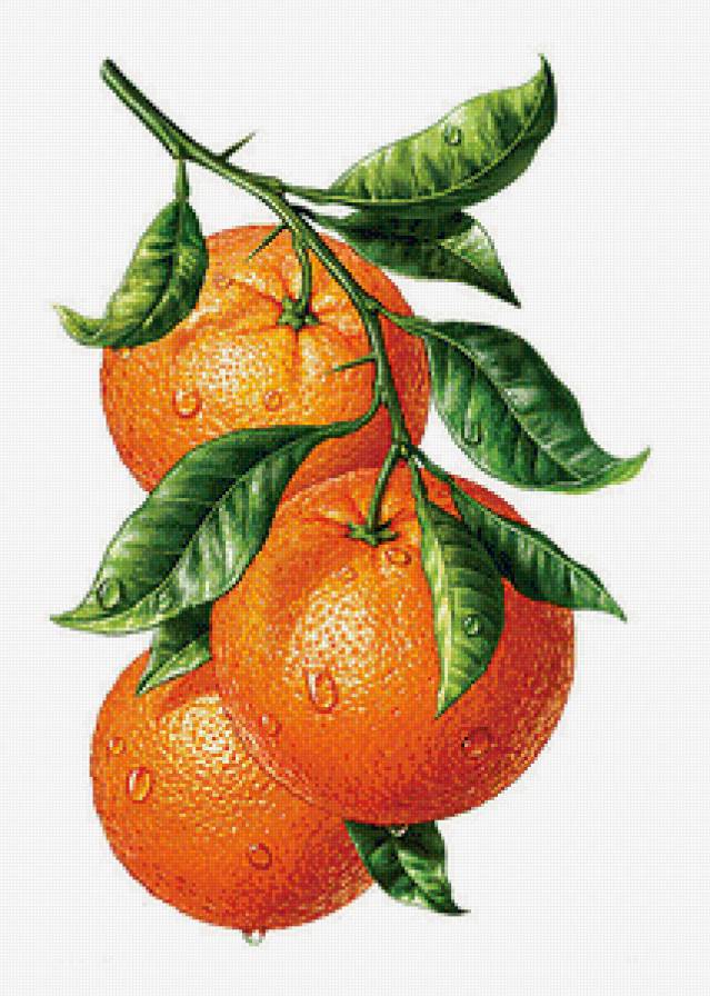 №822081 - предпросмотр