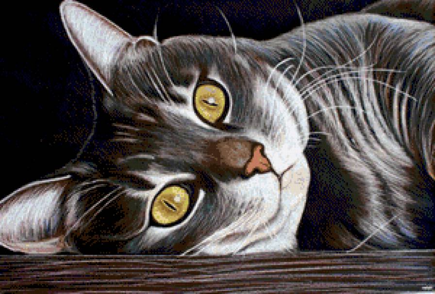 Котик - кошка, кот, животные - предпросмотр