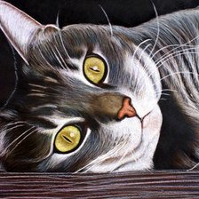 Схема вышивки «Котик»