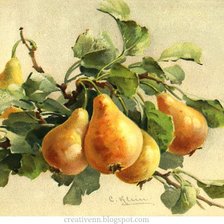 Схема вышивки «груши на ветке»