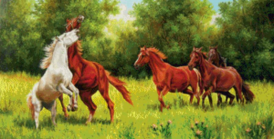 лошади резвятся - природа, поляна, лошади, игра, луг, животные - предпросмотр