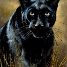 Схема вышивки «Дикие хищные кошки»