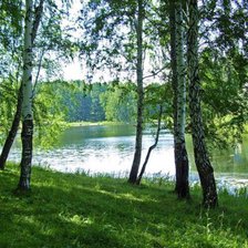 Схема вышивки «№822381»