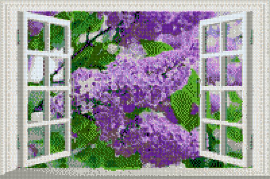 №822555 - предпросмотр