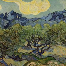 Ван гог оливки