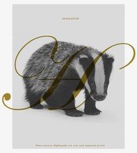 Схема вышивки «Пуффендуй»