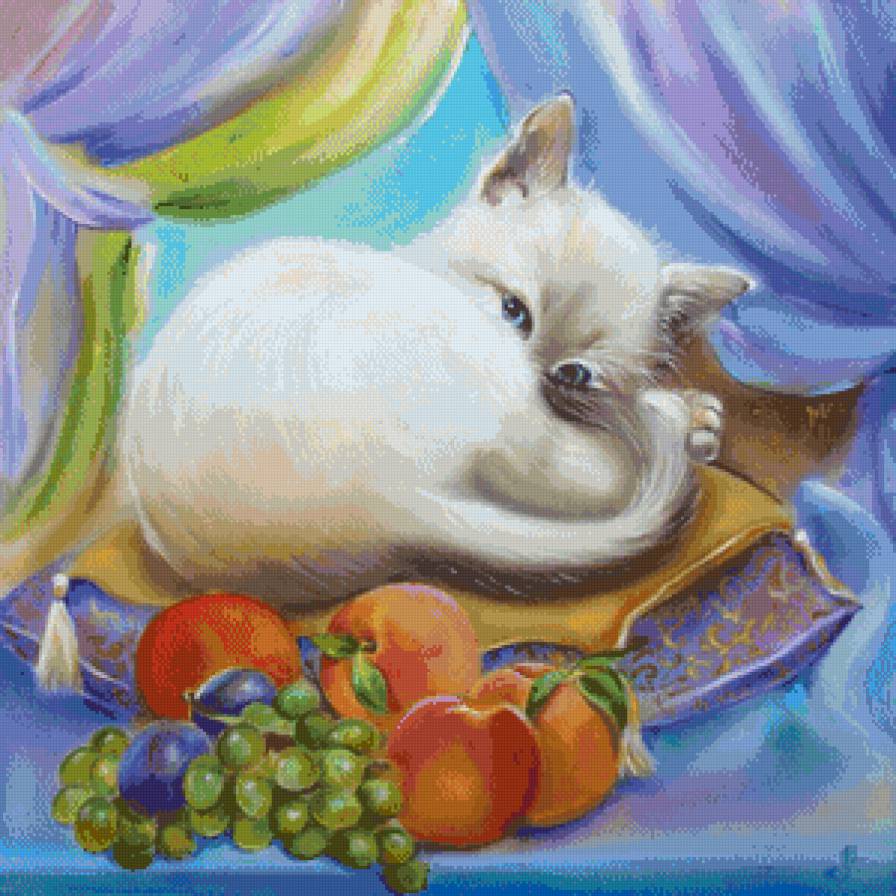 кот султана - кот, котики, коты - предпросмотр