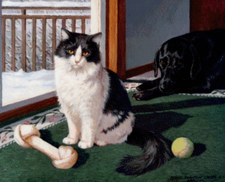 поиграли - животные, собака, котики, кот, коты - предпросмотр