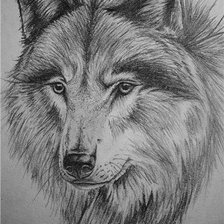 Схема вышивки «хищник»