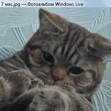 Схема вышивки «Йорик»