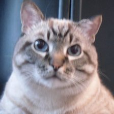 Схема вышивки «Женька»