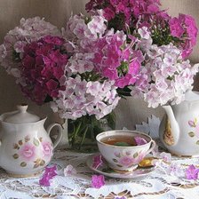 Схема вышивки «Флокса»