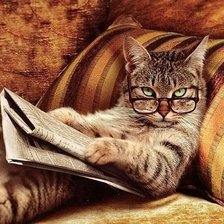 Схема вышивки «Мурка»