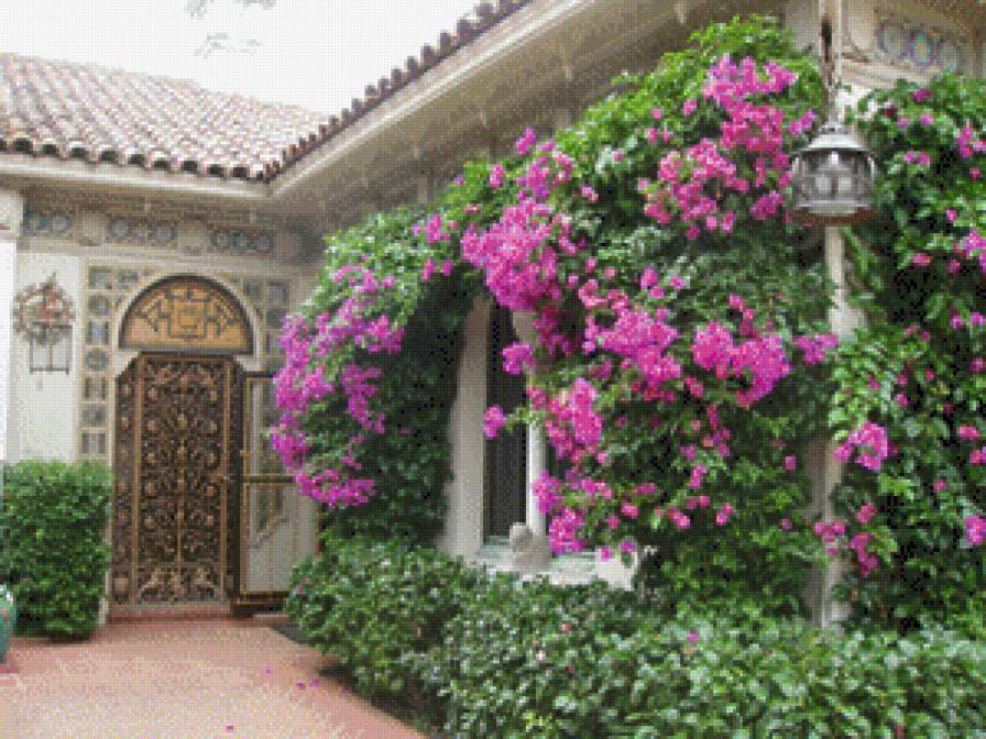 Patio con bouganvillas - предпросмотр