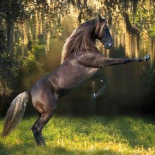 Схема вышивки «Лошадка»