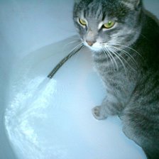 Схема вышивки «Кот серый»