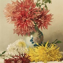 Схема вышивки «Хризантемы»