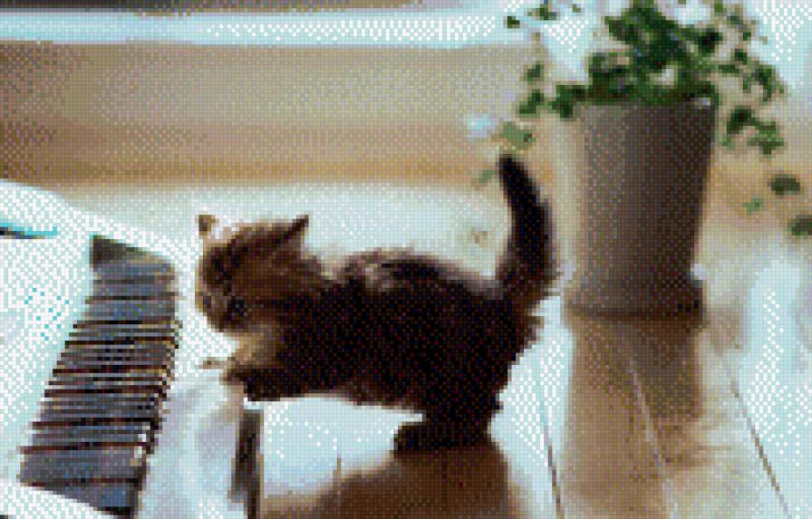 Котенок и рояль - предпросмотр