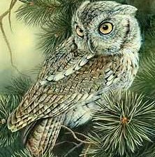 Схема вышивки «№823574»