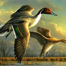 Схема вышивки «№823576»