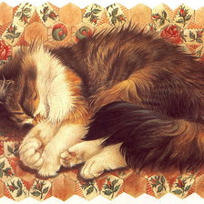 Схема вышивки «сон мурлыки»