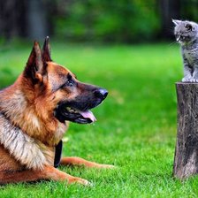 Схема вышивки «лежать»