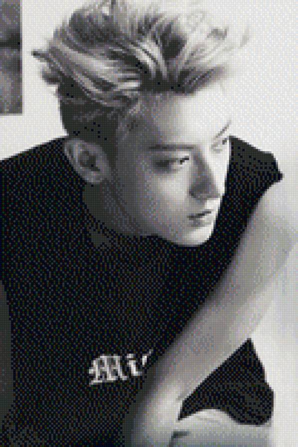 Tao - панда, exo, tao - предпросмотр