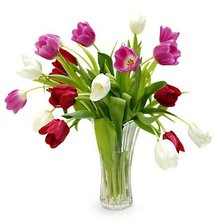 Схема вышивки «тюльпаны»