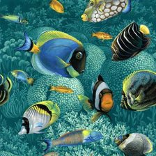 Схема вышивки «peces»