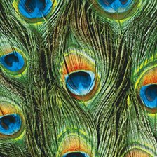 Схема вышивки «подушка с павлиньим пером»