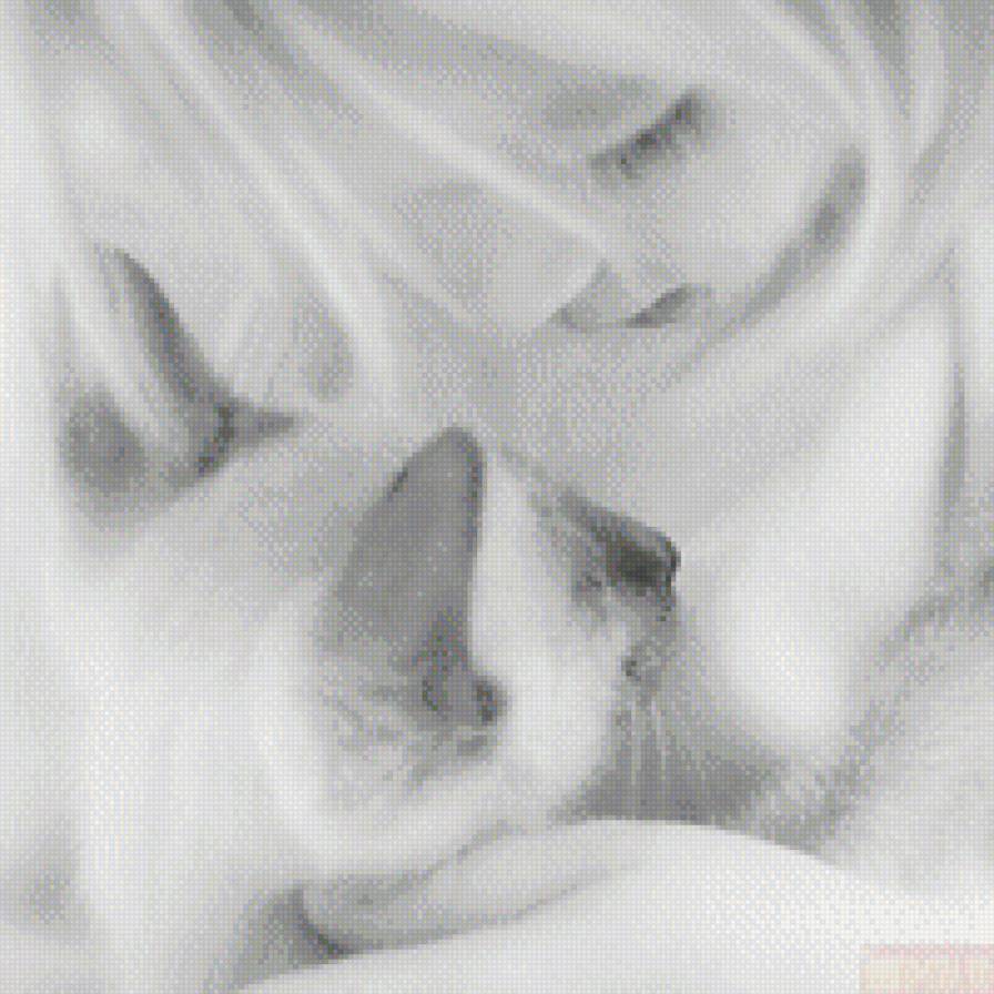 детская любовь - красота, кошки, дети, любовь - предпросмотр