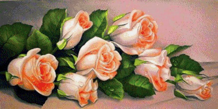 розы - предпросмотр