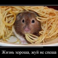 Схема вышивки «животные»