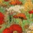 Предпросмотр схемы вышивки «campo de amapolas» (№825275)