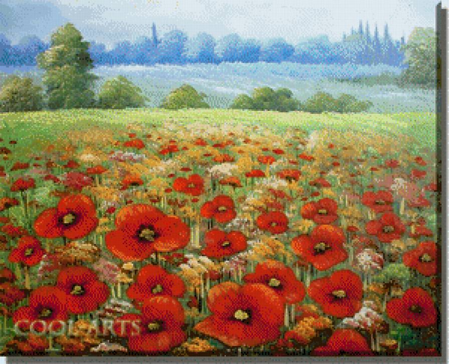 campo de amapolas - предпросмотр