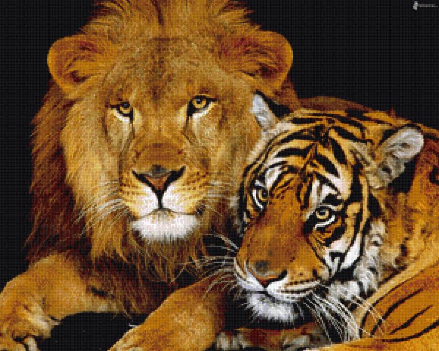 дружба - животные, дикие кошки - предпросмотр