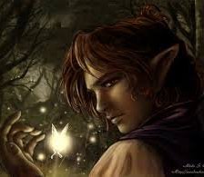 Схема вышивки «снорри»