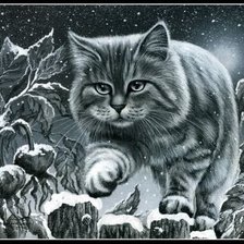 Схема вышивки «Кот»