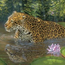 Схема вышивки «Купание леопарда»