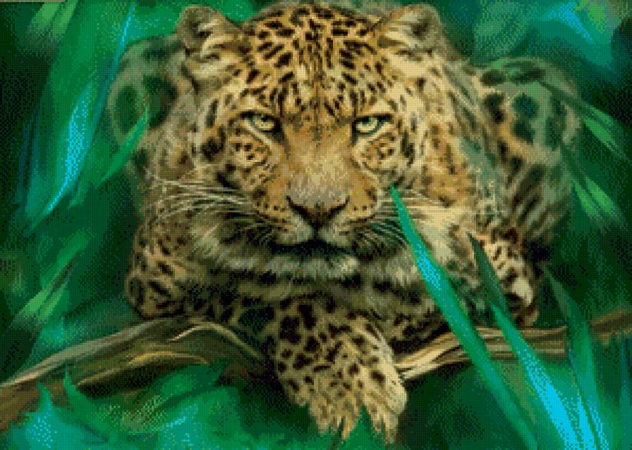 Леопард - кот, звери, кошка, леопард - предпросмотр